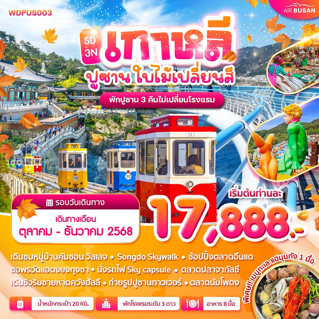 ทัวร์เกาหลี ปูซาน ใบไม้เปลี่ยนสี 5วัน 3คืน