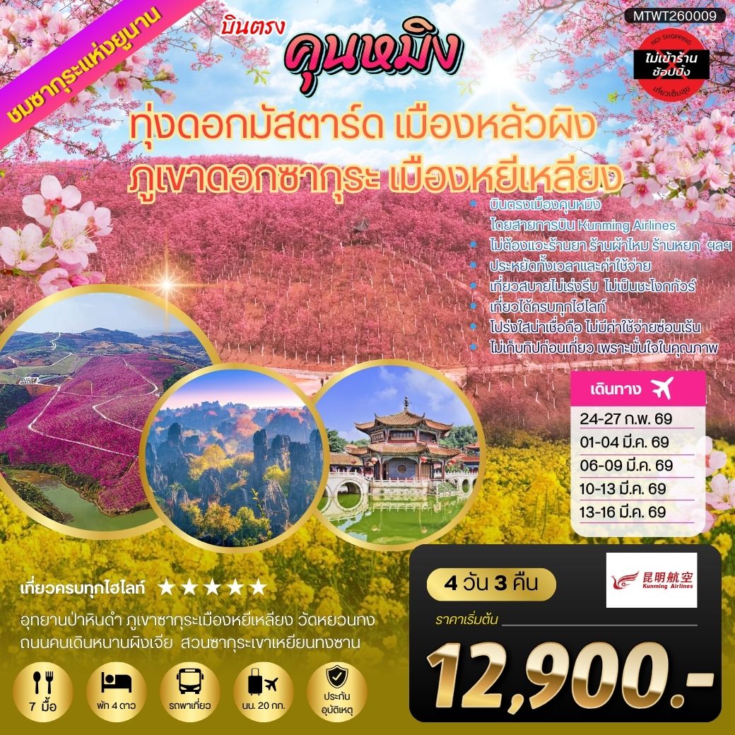 คุนหมิง ชมทุ่งดอกมัสตาร์ด เมืองหลัวผิง  ชมภูเขาดอกซากุระ เมืองหยีเหลียง  4 วัน 3 คืน   ไม่เข้าร้าน By Kunming Airlines